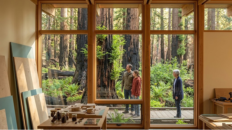 The Redwood Ecology Interpretive Center Will Become A Key Visitor Facility